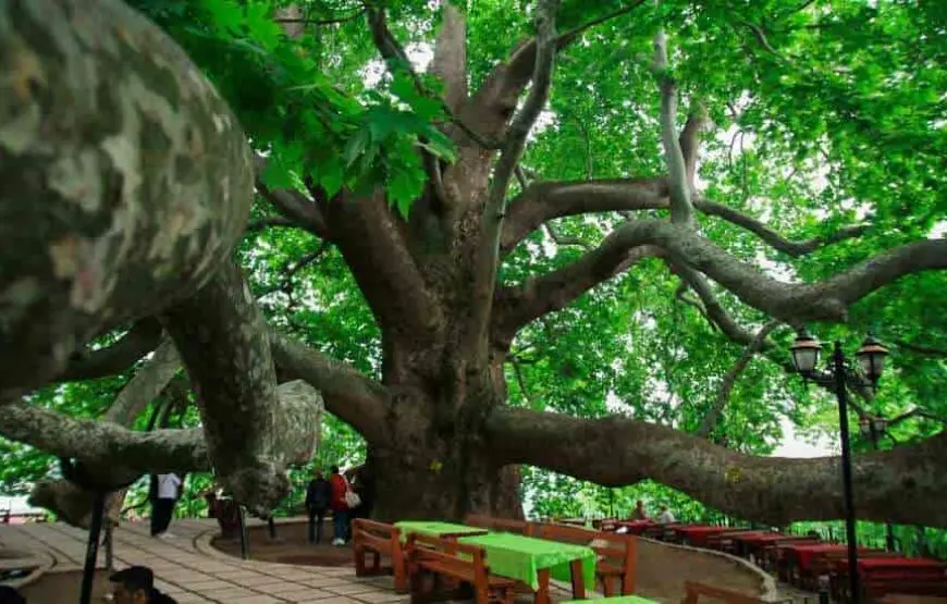 Bursa Day Trip from Istanbul